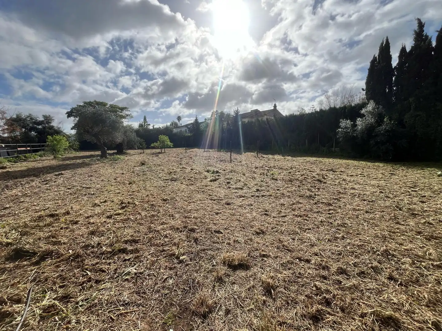 Residential for sale in Palomares del Río