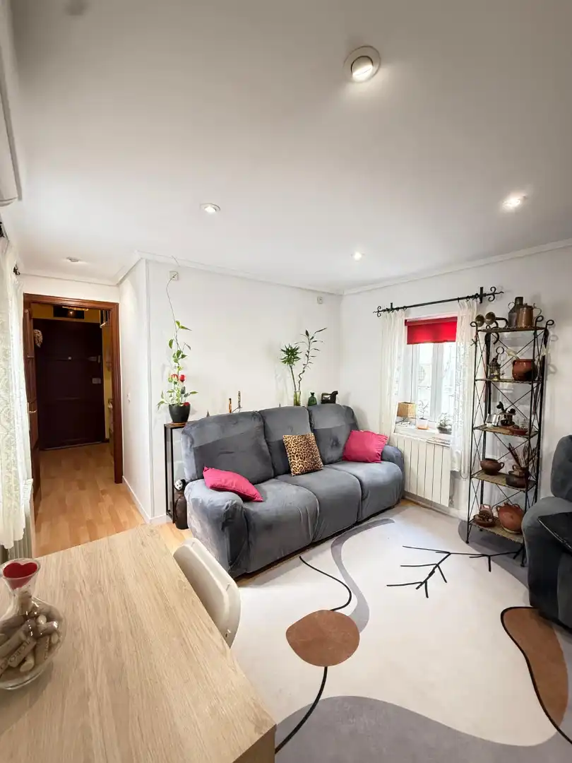 Living room of Flat for sale in Madrid  with Air Conditioner and Heating