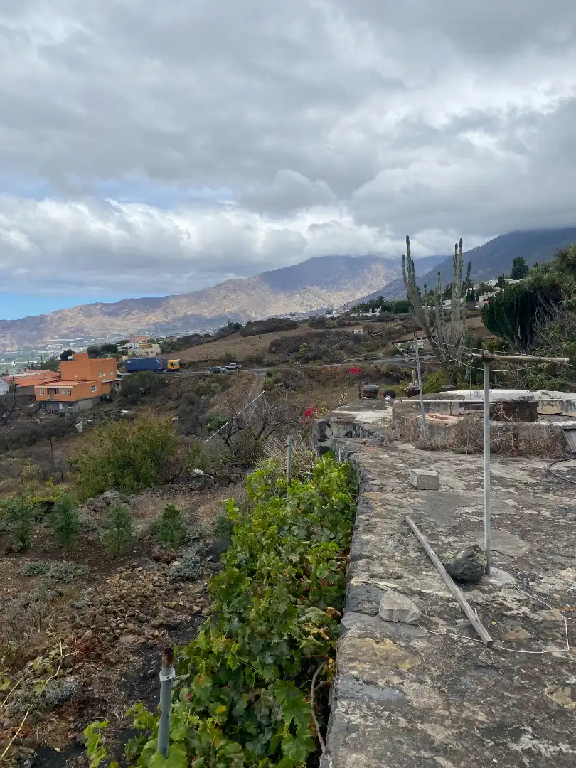 Vista exterior de Finca rústica en venta en Los Llanos de Aridane con Jardín privado y Amueblado