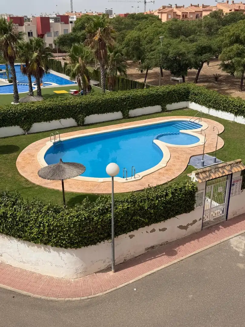 Piscina de Casa o xalet en venda en Torrevieja amb Piscina comunitària
