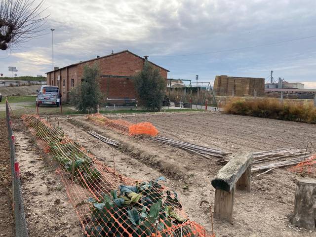 Terreno en Venta en El Palau d'Anglesola