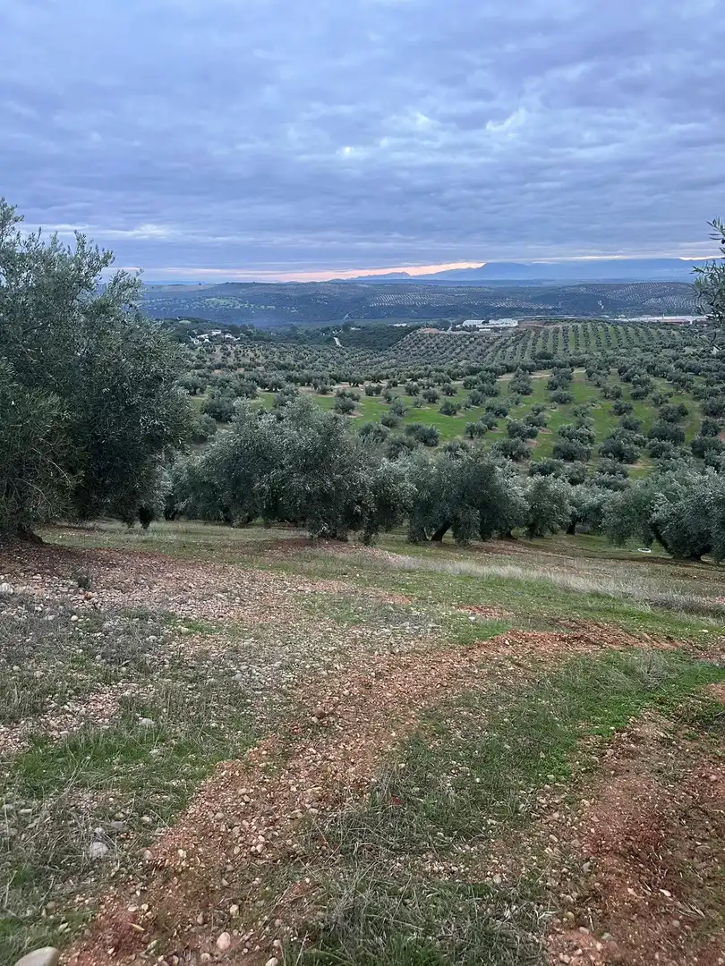 Grundstücke zum Verkauf in Andújar