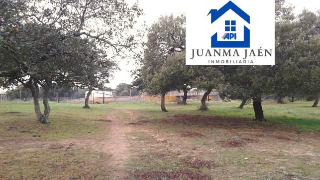 Residential for sale in Pelagatos - Pago del Humo