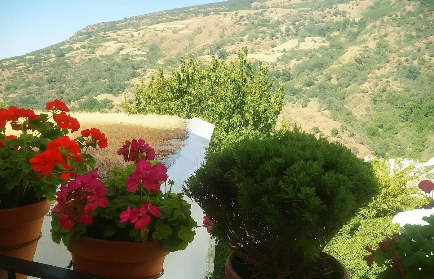 Garden of Houses for sale in Capileira