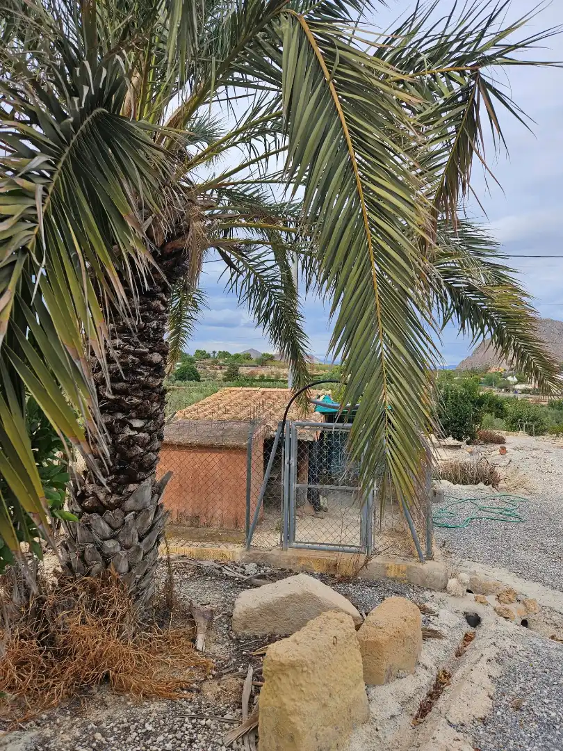Detached house with terrace for sale in Calle Sierra Salinas, imagen 73