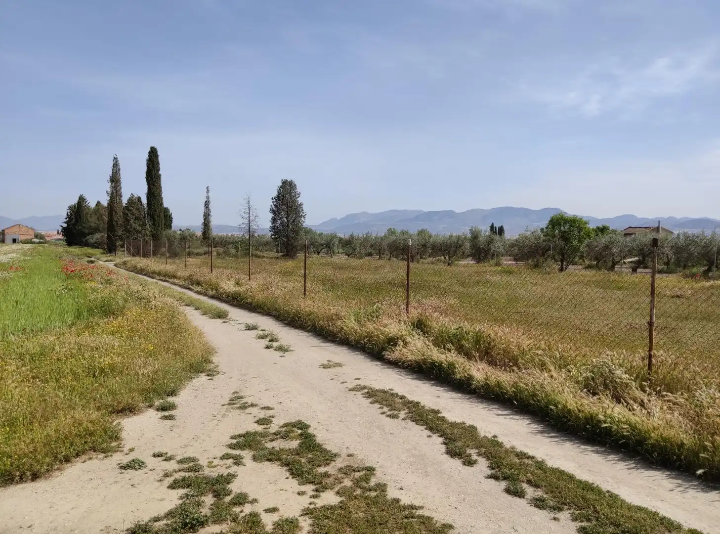 Terreni e lotti in vendita a Camino Ramal Corpas 2, imagen 4