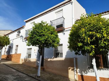 Maison jumelée à vendre à Almadén de la Plata