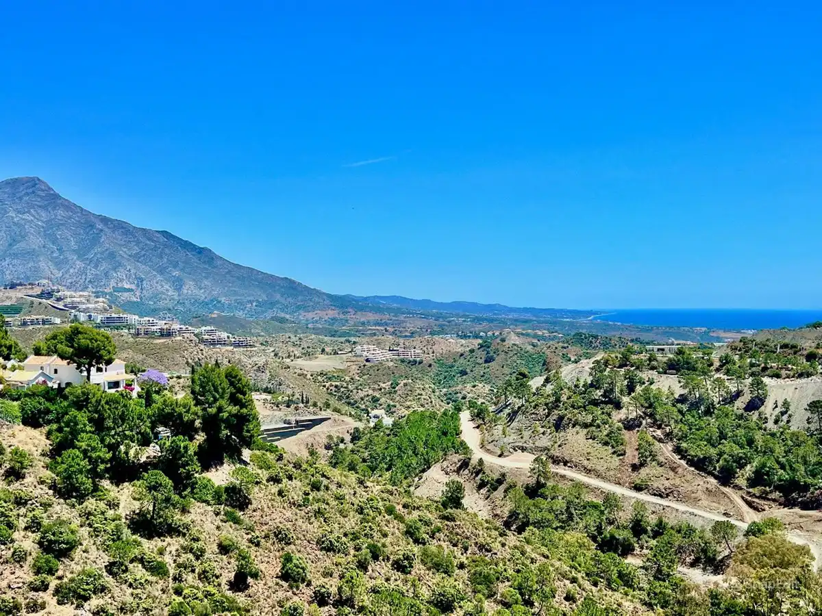 Vista exterior de Residencial en venta en Benahavís