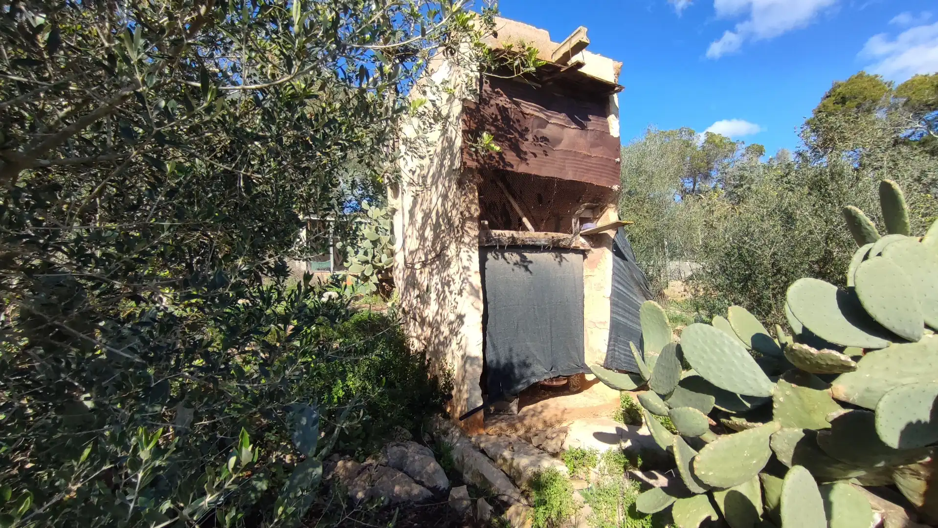 Rural land for sale in Vial Camino 316, imagen 5