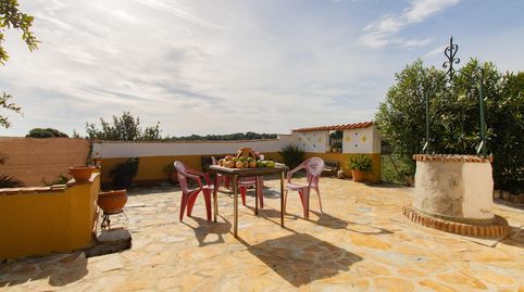 Foto 3 de Casa o chalet en venta en Polígono Pla de Pavia - Poligono 17 , Albalat dels Tarongers, Valencia