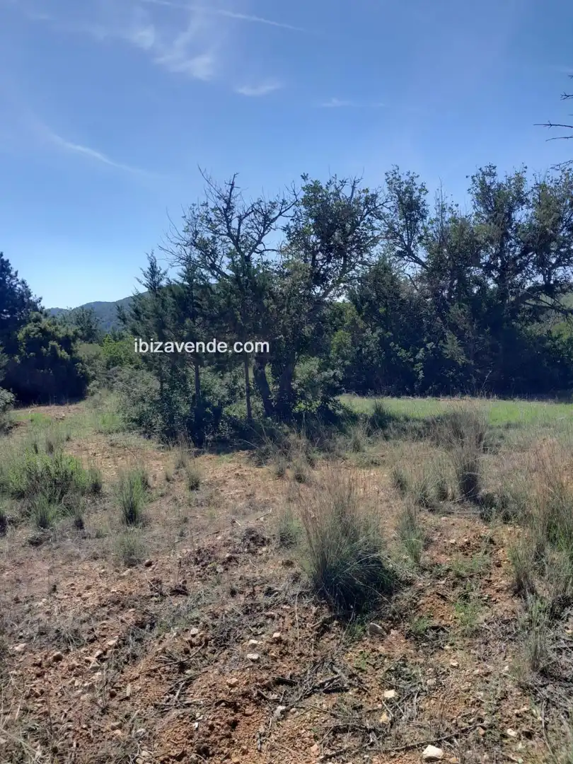 Terreno en venta en Es Canar, Sant Carles