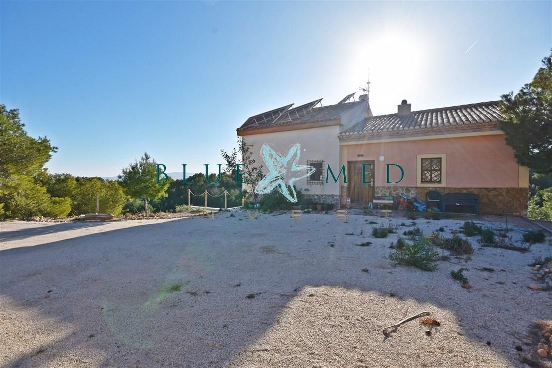 Vista exterior de Casa o chalet en venta en Totana con Calefacción, Jardín privado y Terraza