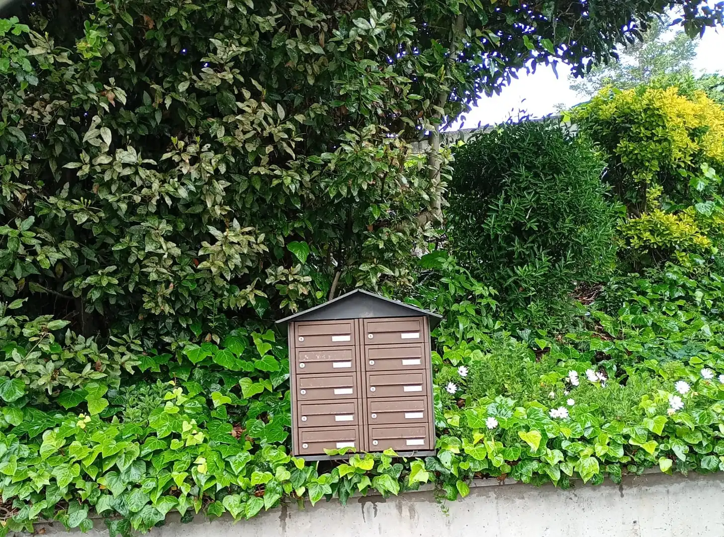 Jardí de Casa adosada en venda en Gijón  amb Calefacció, Jardí privat i Terrassa