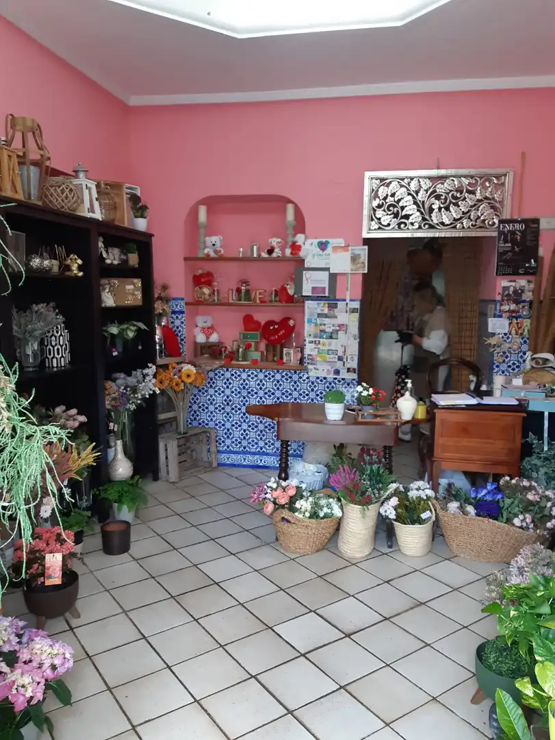 Buildings for sale in Constantina