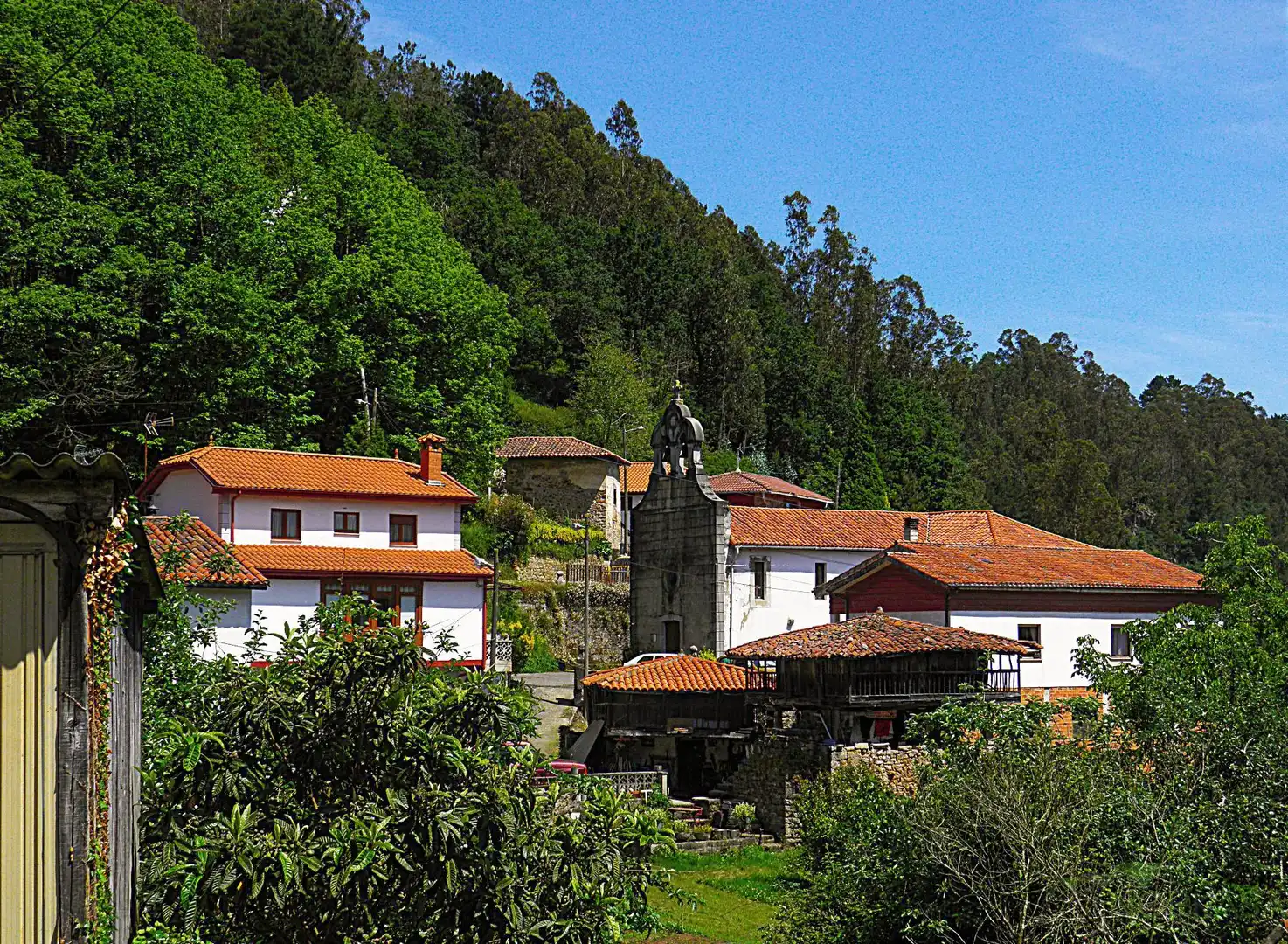 Vista exterior de Finca rústica en venta en Pravia