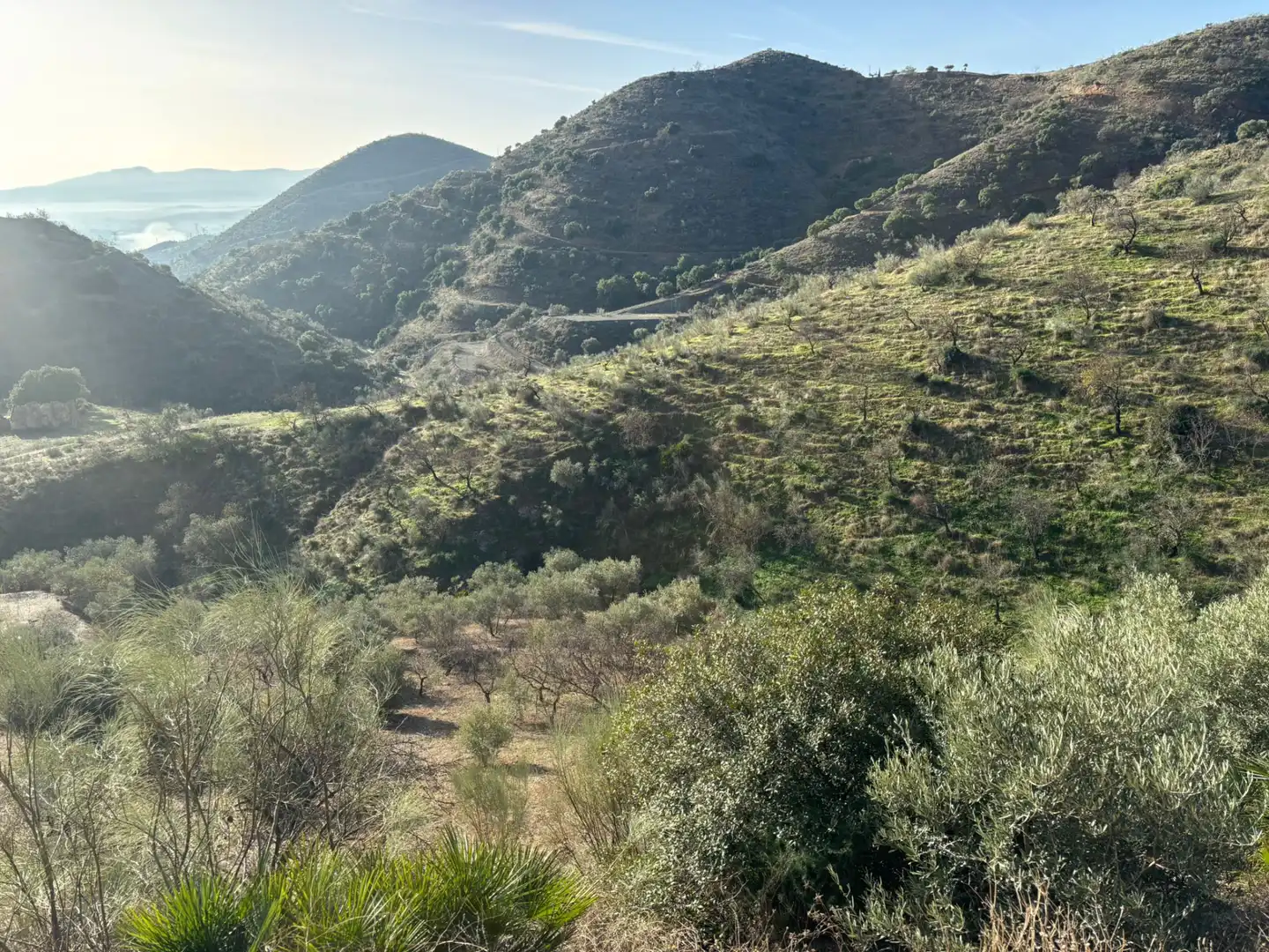 Terreno en venta en Cártama
