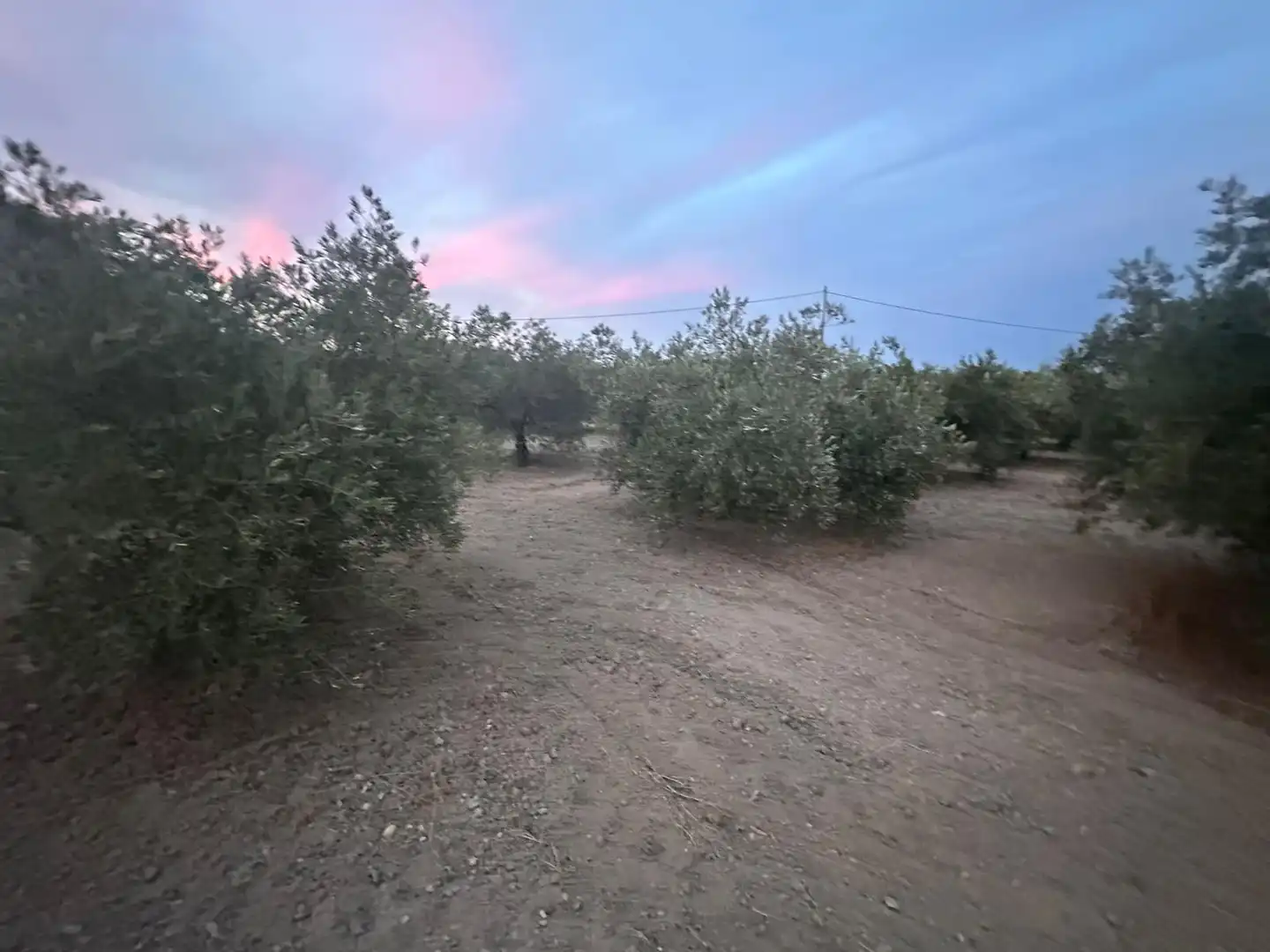 Terreno en venta en Alhama de Murcia