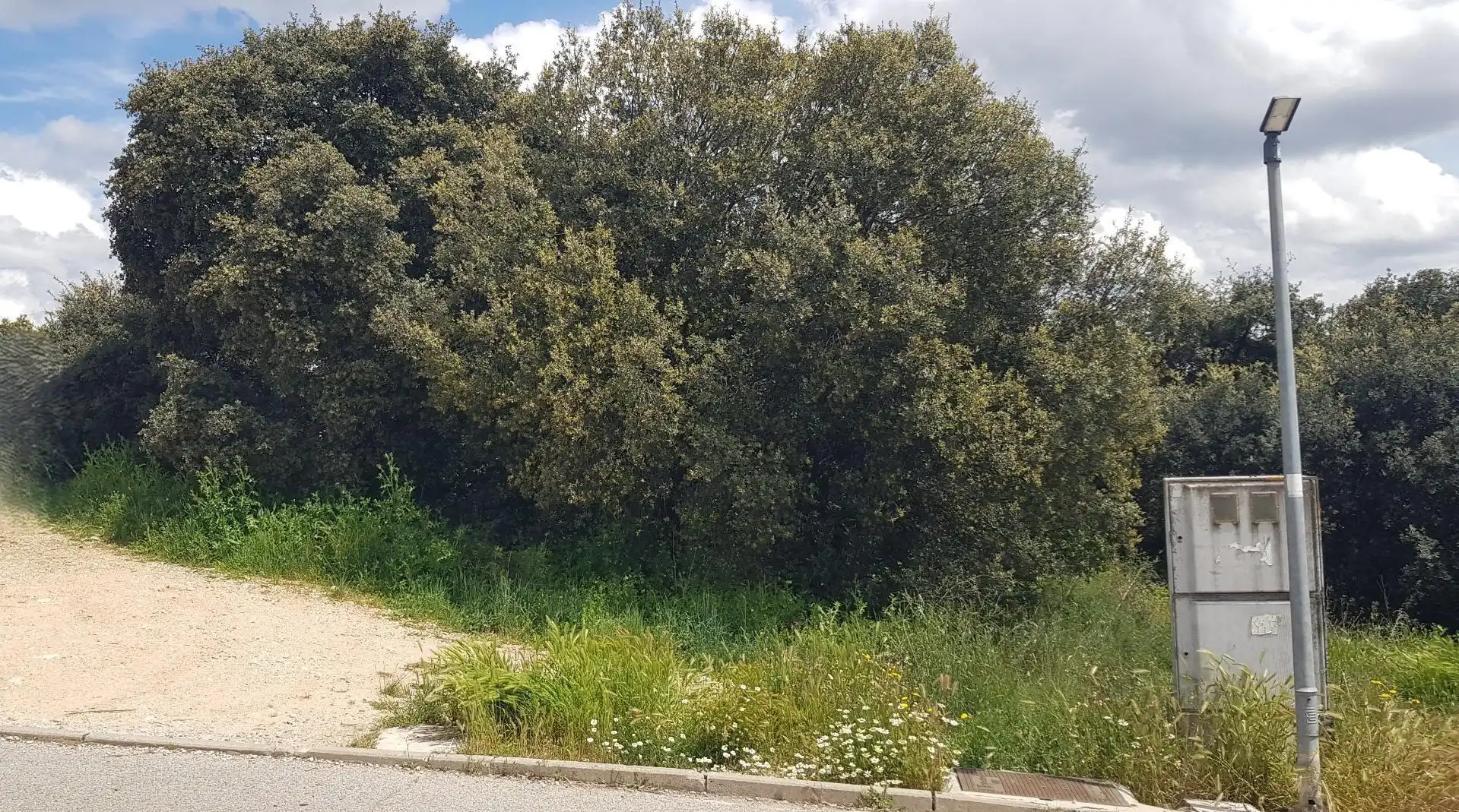 Terreno residencial en venta en Pioz, imagen 8