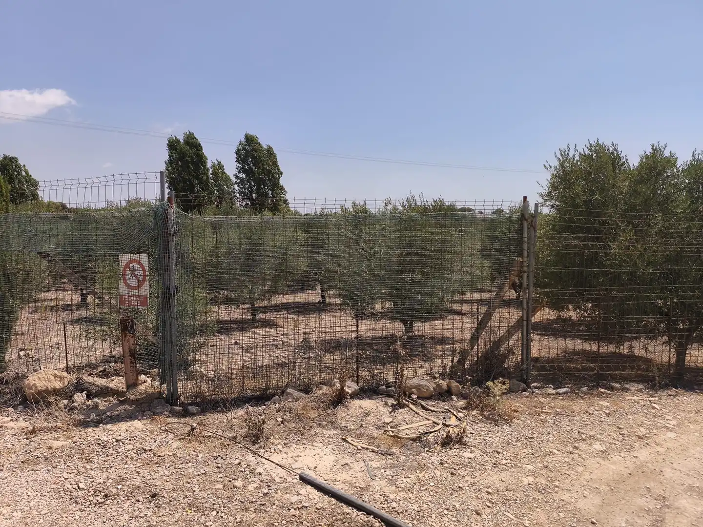 Rustikales Grundstück zum Verkauf in Sant Jaume dels Domenys, imagen 33
