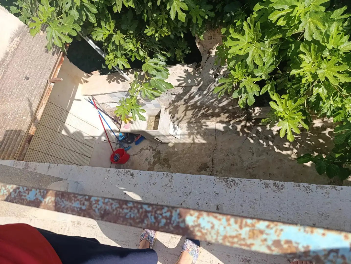 Jardín de Casa adosada en venta en Albudeite