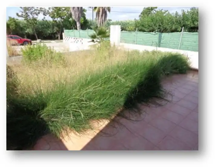 Jardí de Residencial en venda en Almazora / Almassora