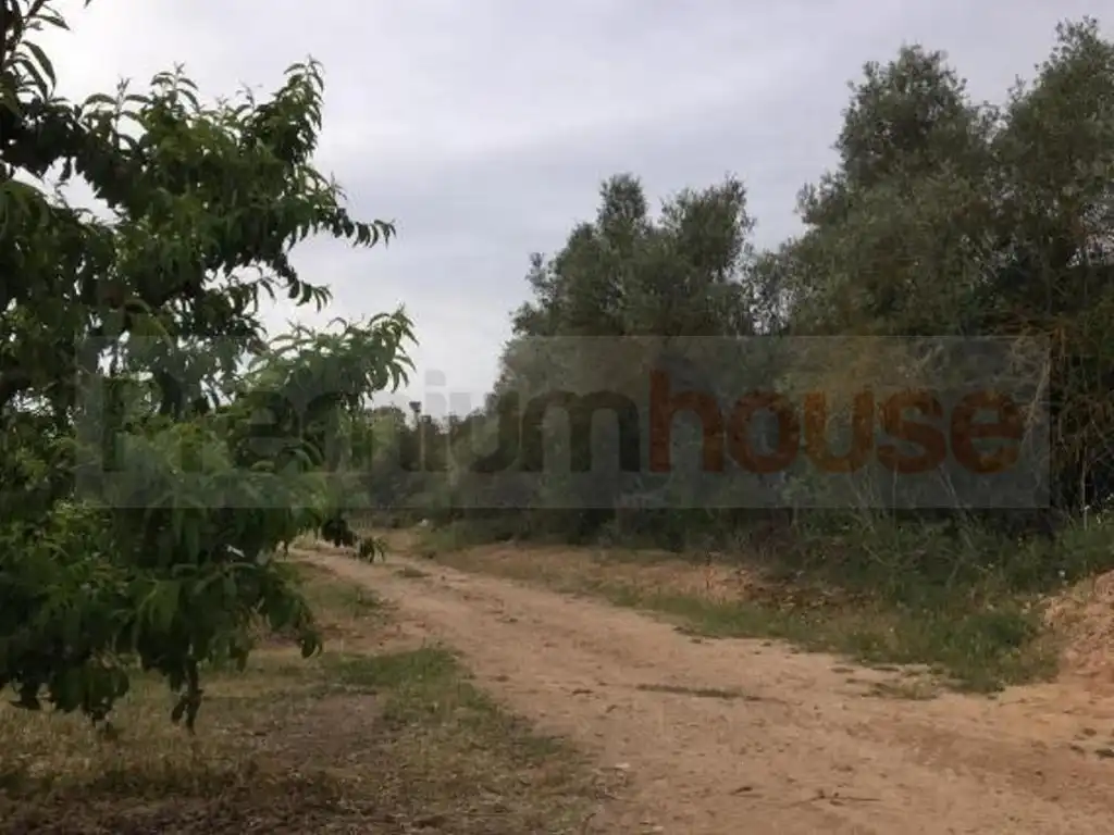 Terreno residenziale in vendita a Móra d'Ebre, imagen 5