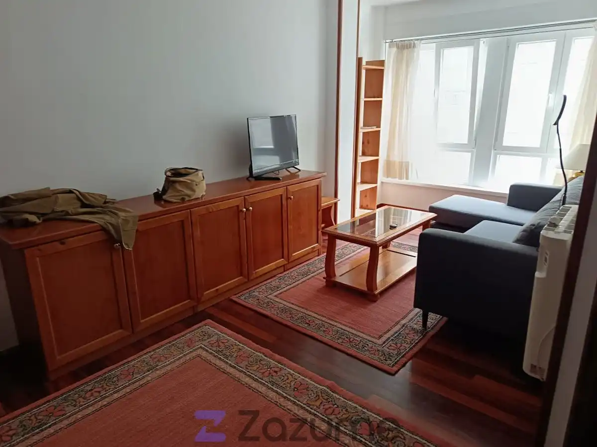 Sala de estar de Piso de alquiler en Santiago de Compostela  con Calefacción, Parquet y Amueblado