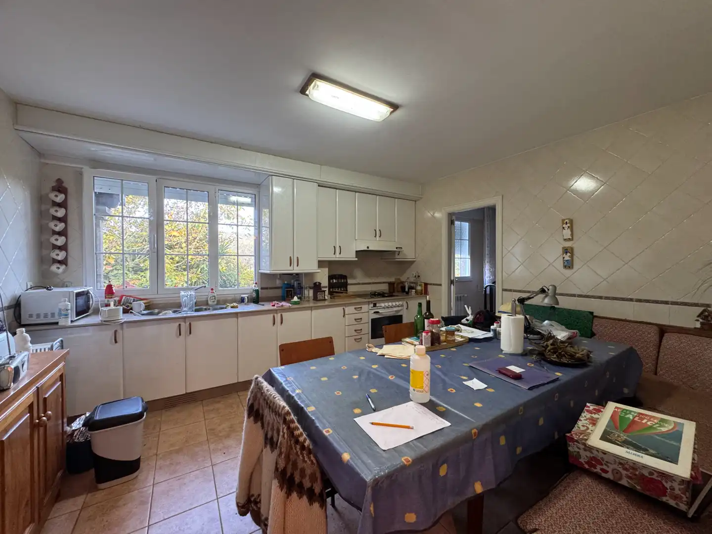 Chalet con jardín en venta en Roxos, imagen 29