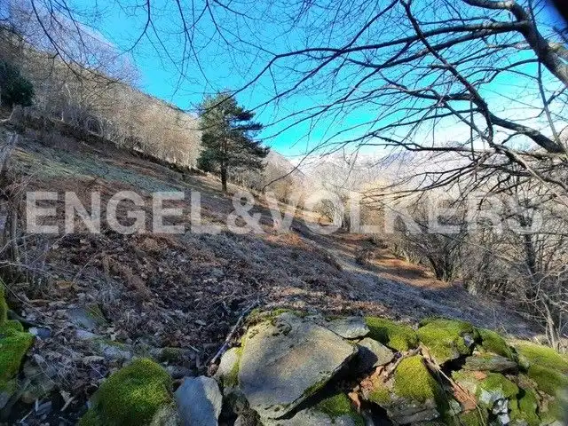 Rustikales Grundstück zum Verkauf in Canejan, imagen 5
