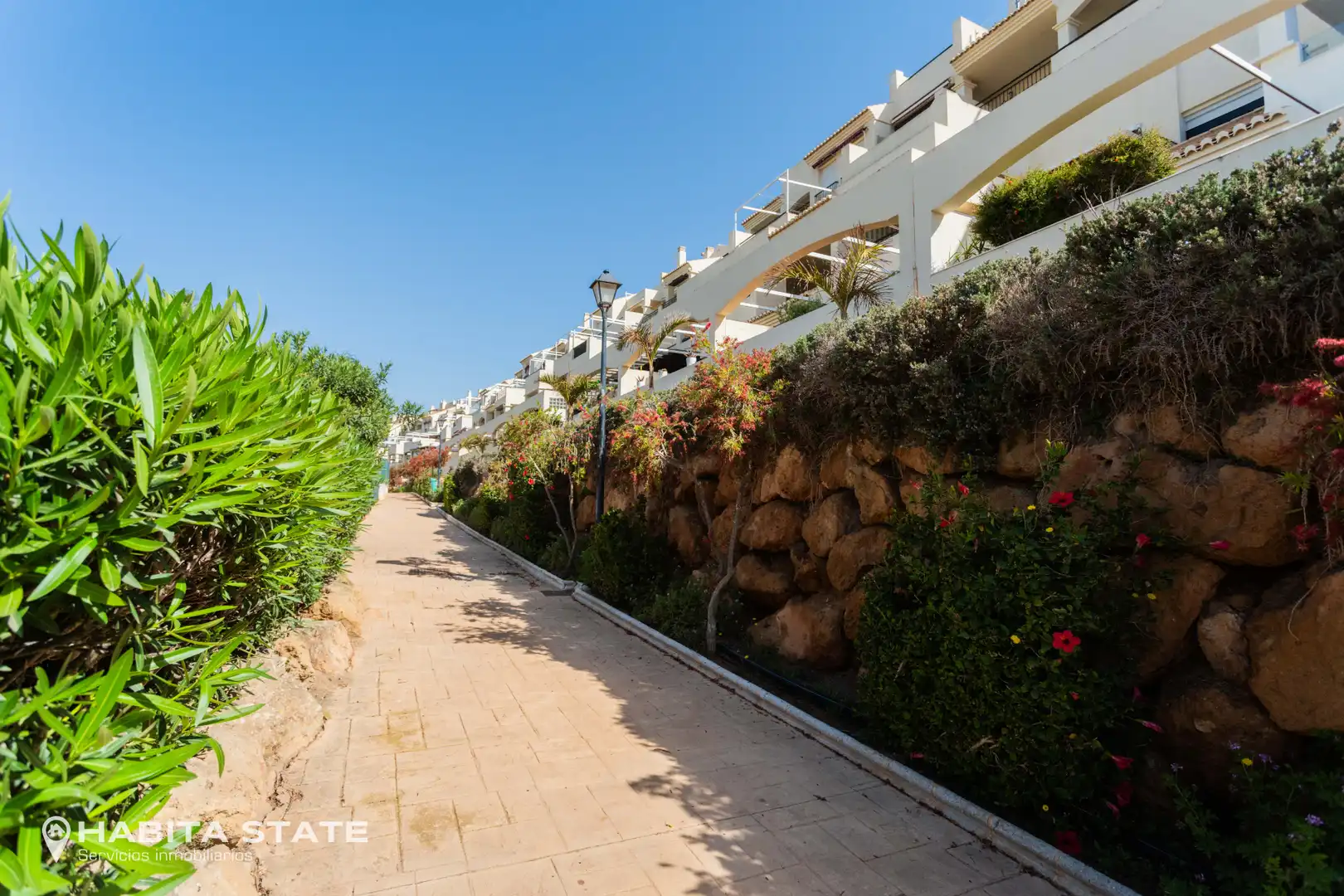 Vista exterior de Apartamento en venta en El Ejido con Terraza, Amueblado y Horno