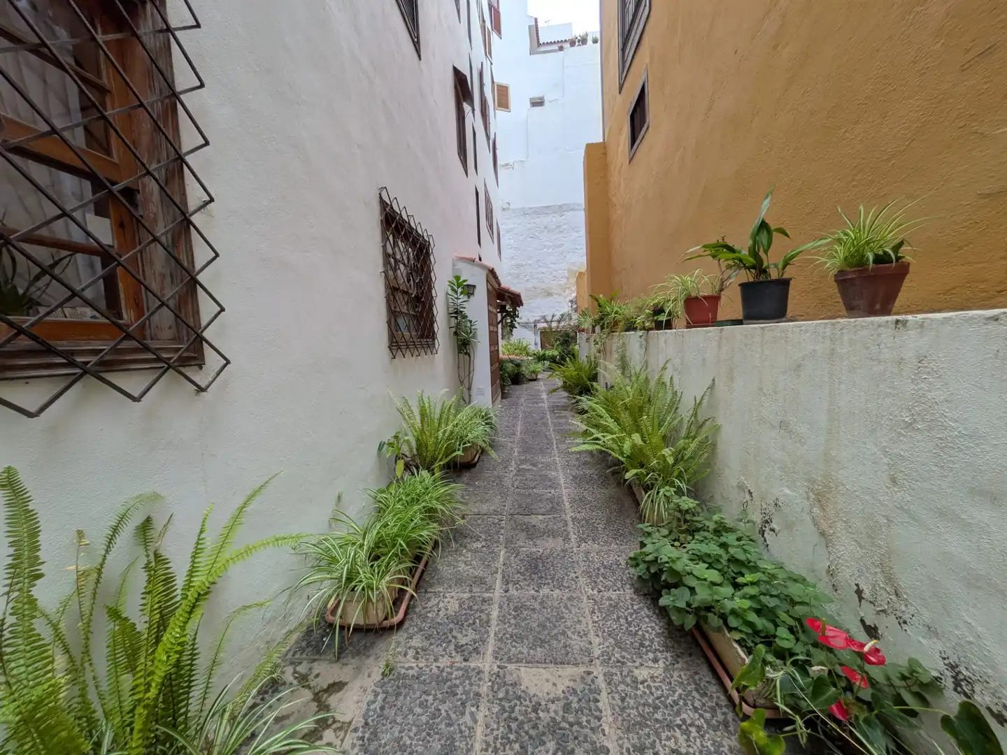 Appartement avec terrasse à vendre à Icod de los Vinos pueblo, imagen 3