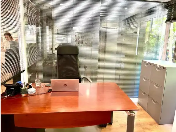 Local comercial en venda a CARLOS MACKINTOSCH, imagen 9