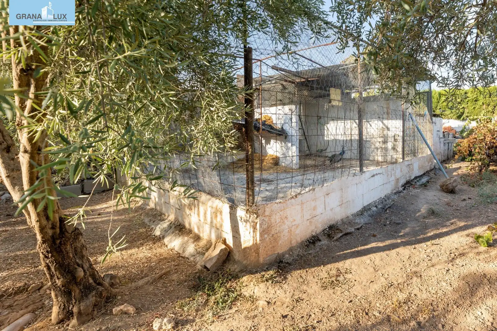 Casa rústica amb piscina en venda a Polígono 6 Paraje 75 LLANOS DE MORALEDA 61, imagen 20