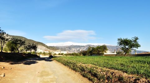 Foto 5 de Terreno en venta en Padul, Granada