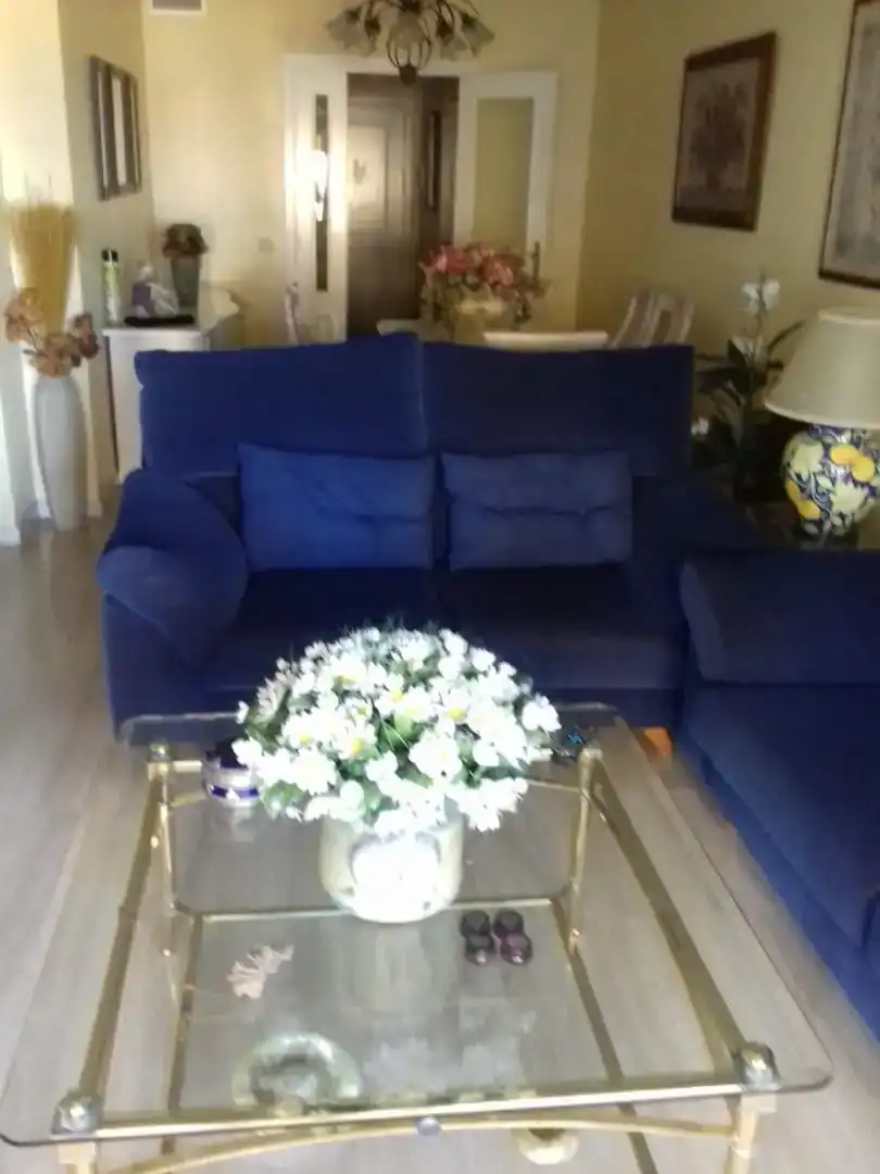 Sala d'estar de Apartament de lloguer en Roquetas de Mar
