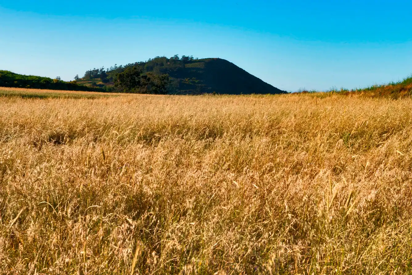 Terreno en venta en Camino Las Lagunetas, 1, La Esperanza - Llano del Moro