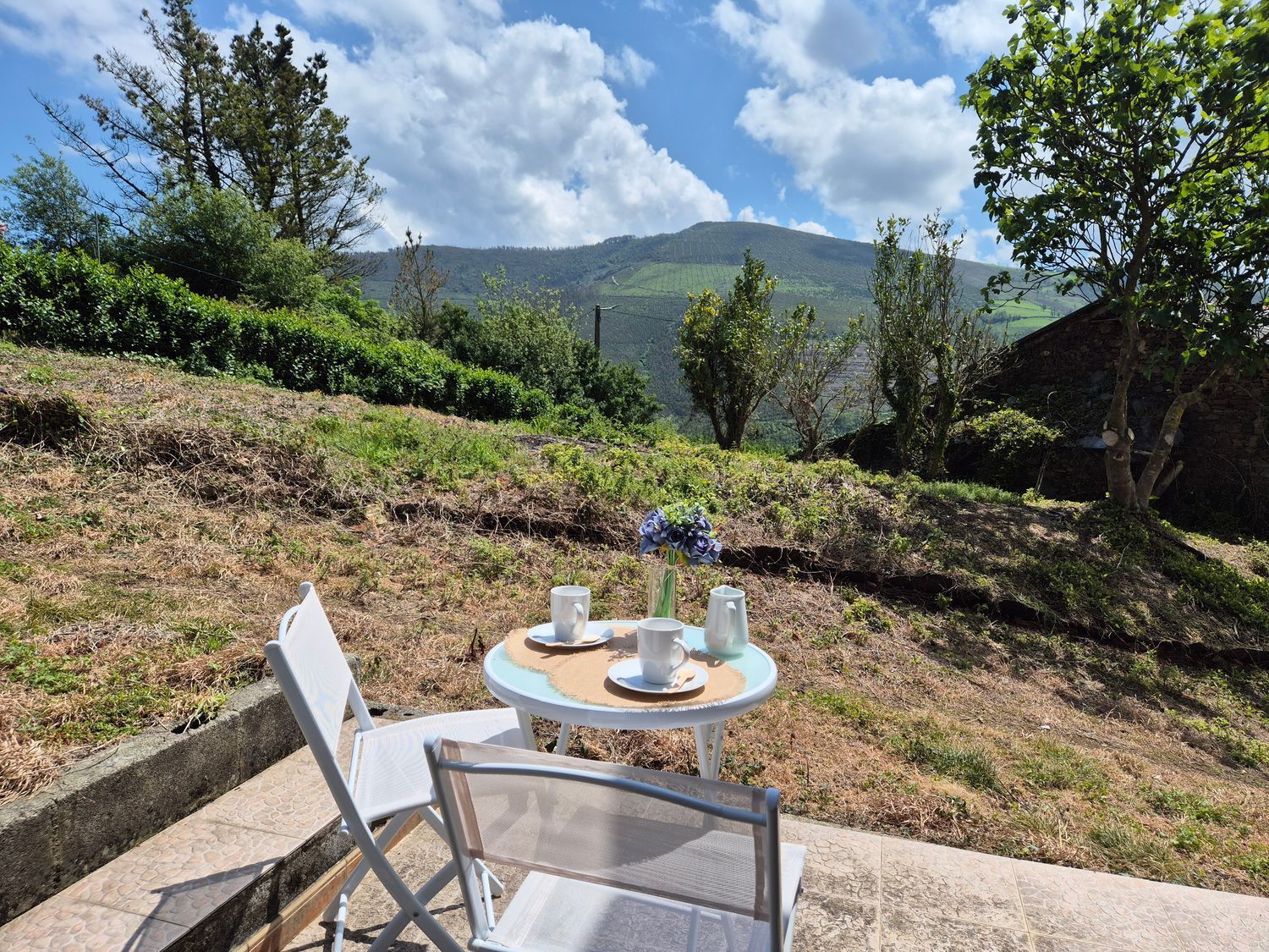 Jardí de Casa o xalet en venda en Vegadeo amb Traster i Piscina