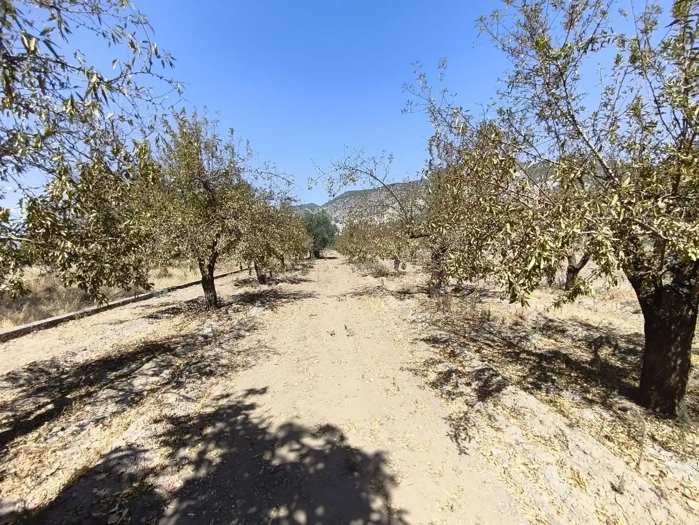 Rural land for sale in 2C55+9GC Cozvijar 0, imagen 24