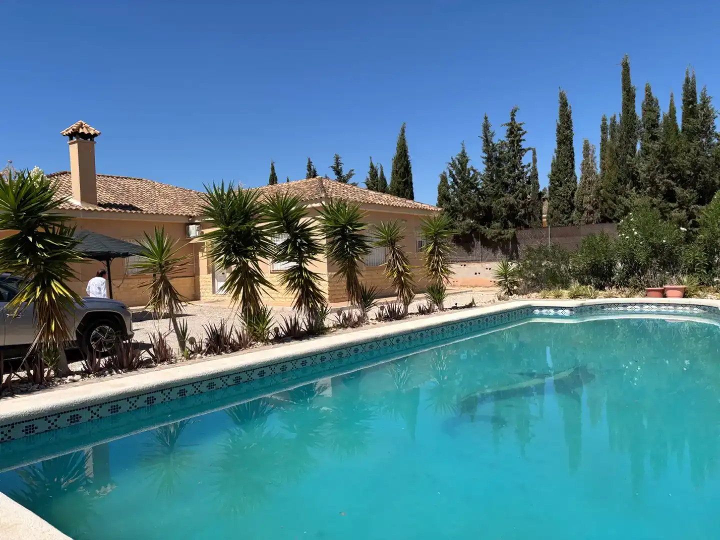 Schwimmbecken von Country house zur Miete in Crevillent