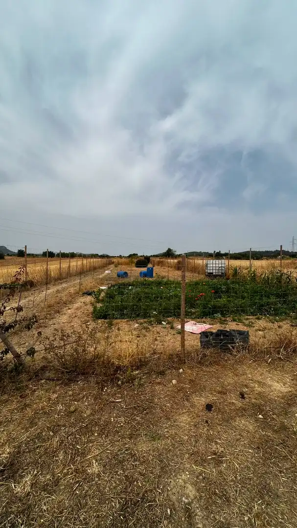 Rural land for sale in Sineu, imagen 2