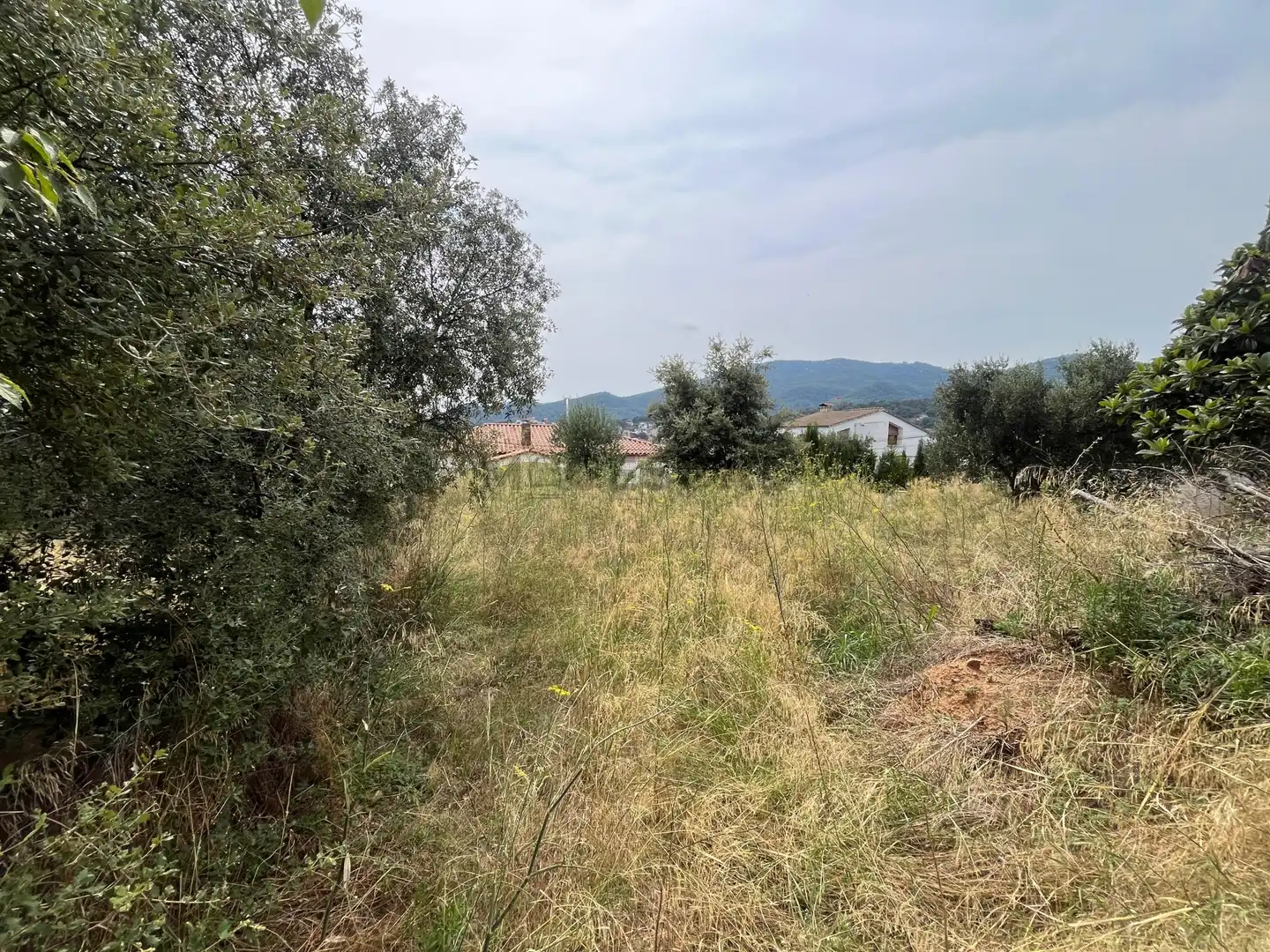 Terrenys i solars en venda a OM, imagen 8