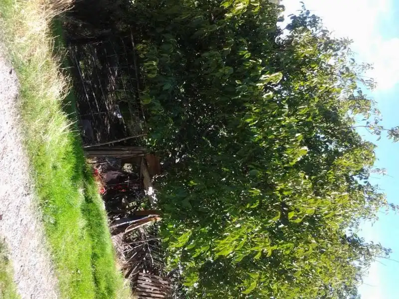 Casa rústica amb jardí en venda a Guadix, imagen 9