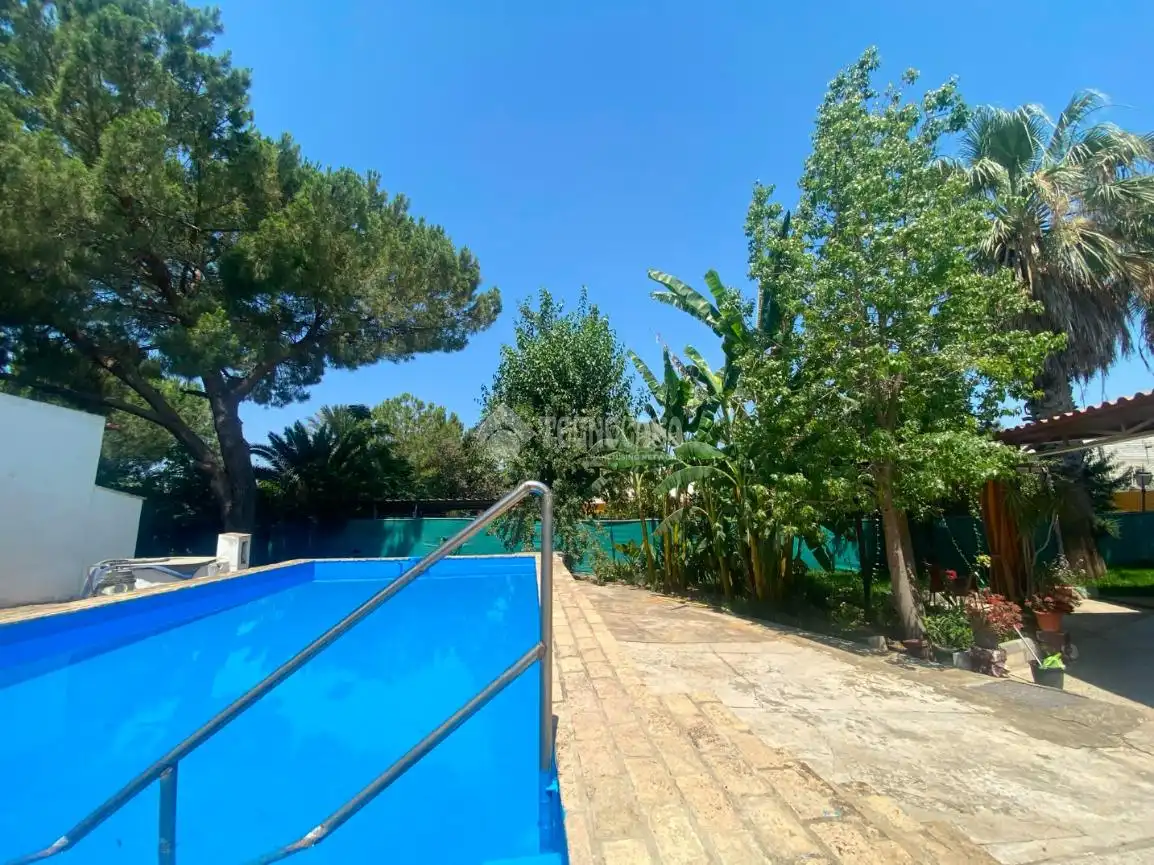 Swimming pool of Country homes for sale in Dos Hermanas