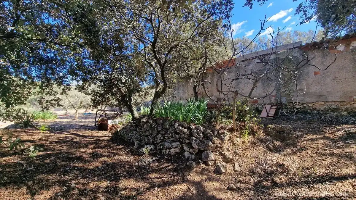 Maison rustique à vendre à Confrides, imagen 10