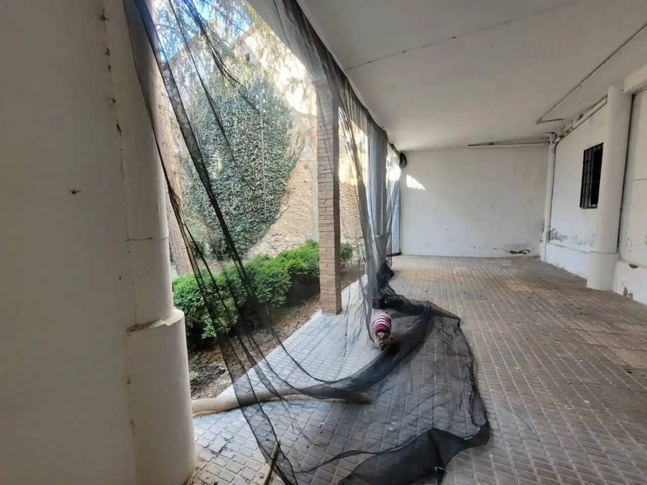 Casa in vendita a Baza, imagen 17