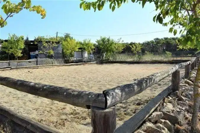 Terrenos y solares en venta en Mas Mora - Sant Daniel, imagen 39