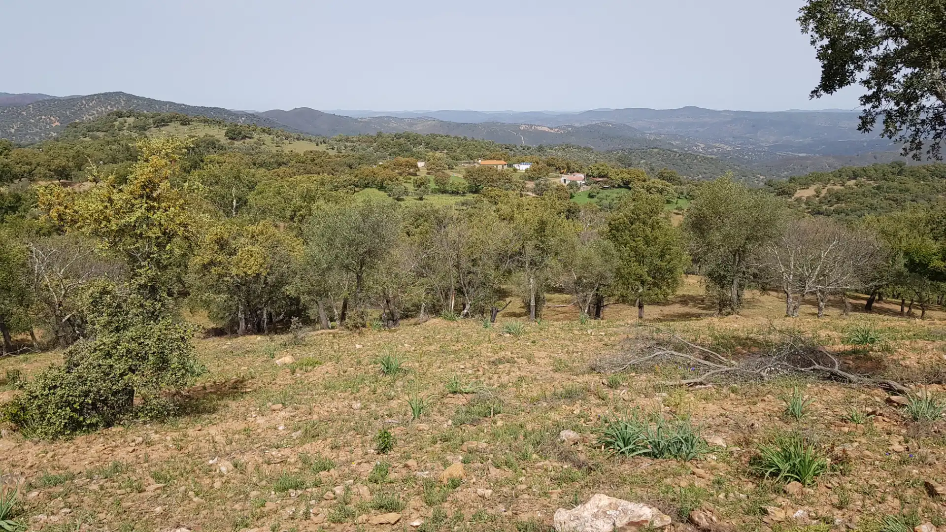 Terrenos y solares en venta en Extramuros Diseminados 5, imagen 65