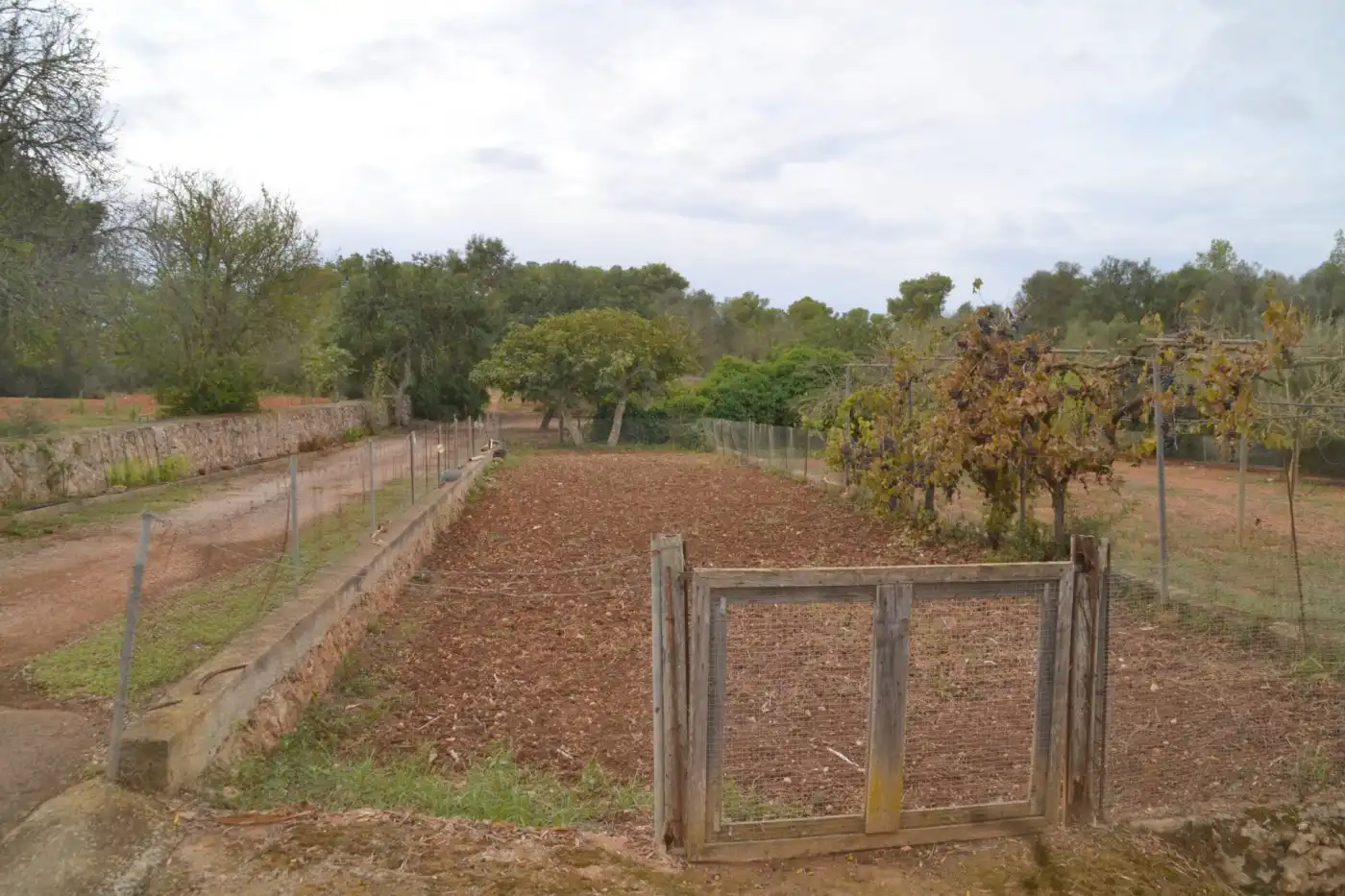Finca rústica en venta en Son Gual