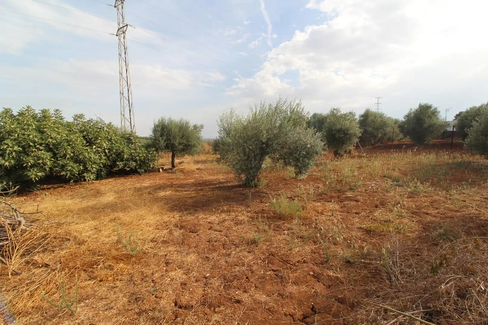 Country homes for sale in Jerez de la Frontera