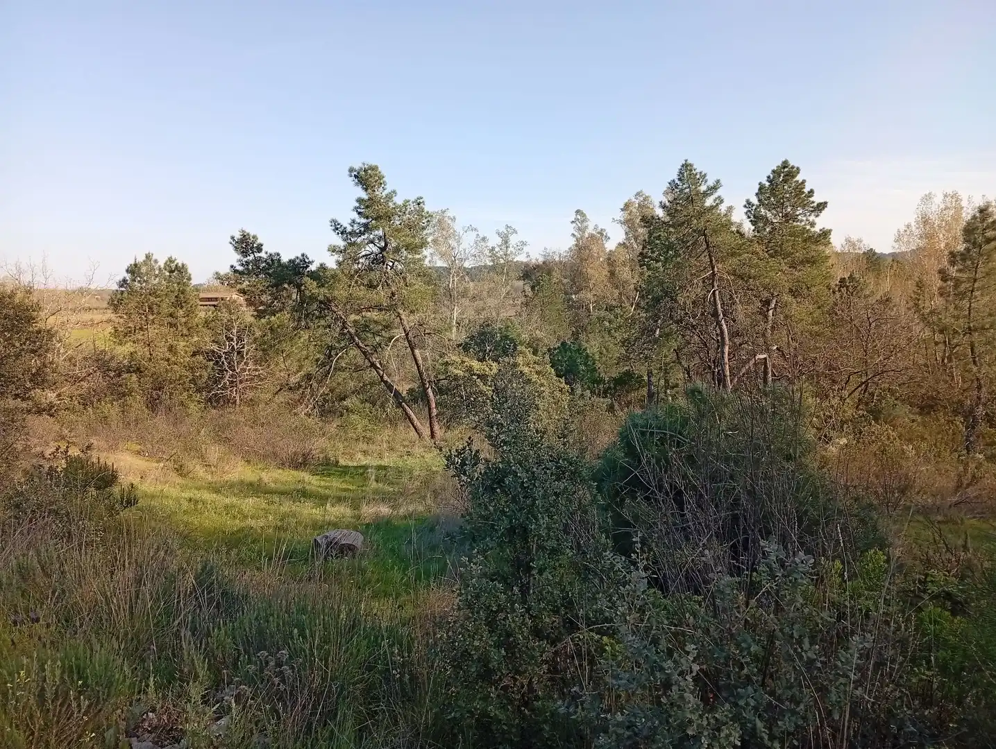 Terreni e lotti in vendita a Villanueva de la Vera, imagen 16